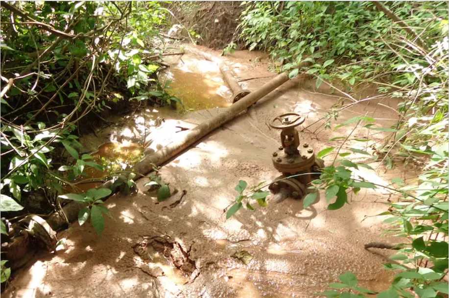 Opera Captura de pantalla_2025-09-03_091120_www.lanacion.com.ar