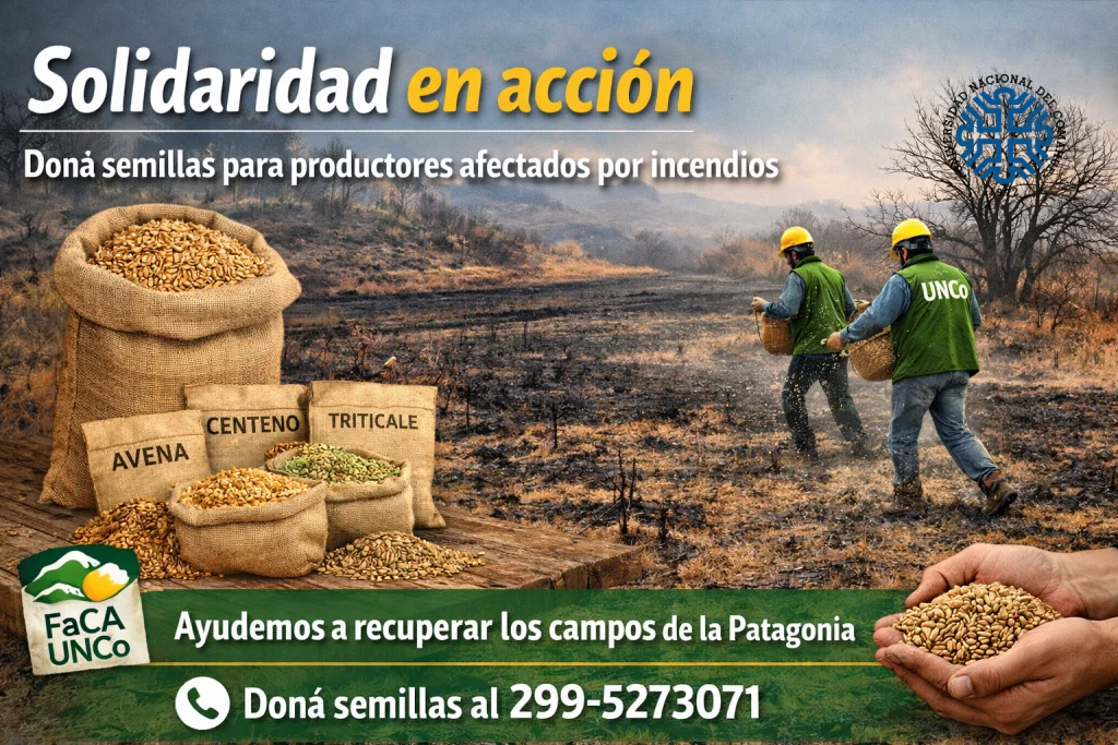 c8e94ed4-aa49-4f6b-86cc-61f34eb7a6b8-1-1024x683