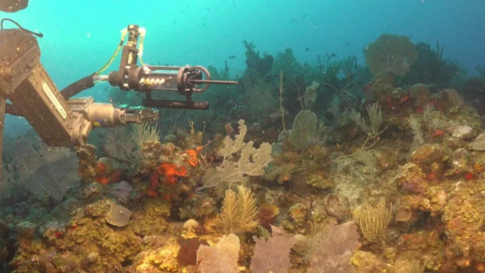 conicet_1.png_628480674