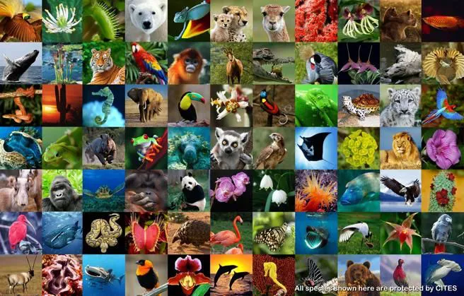 diversidad biológica