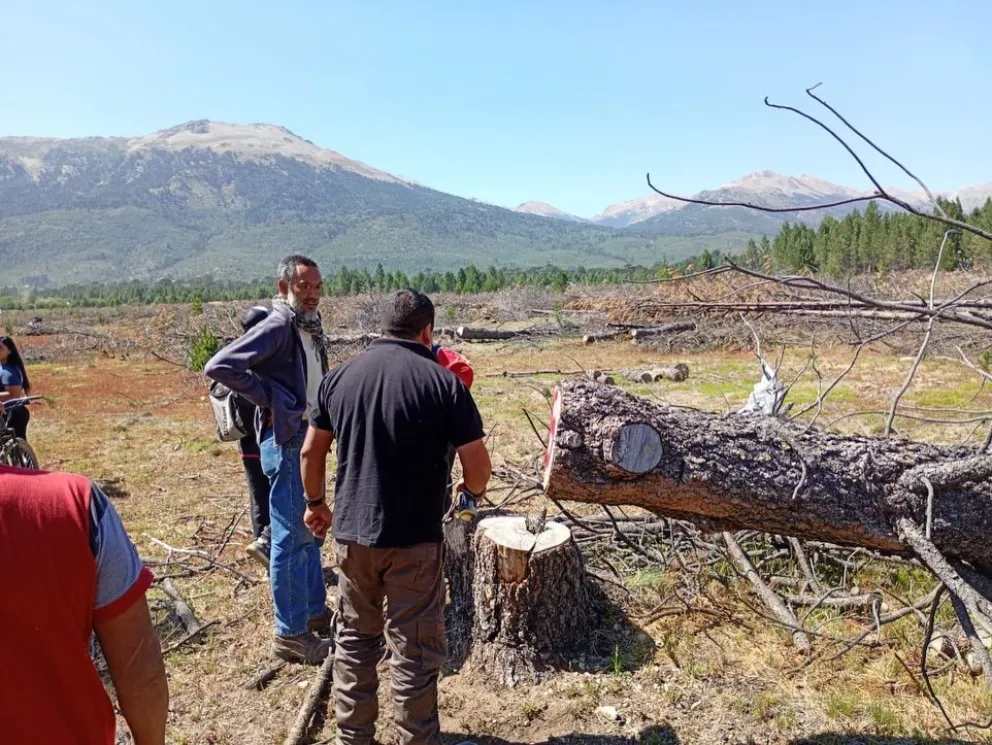 md - 2026-01-22T210844.442