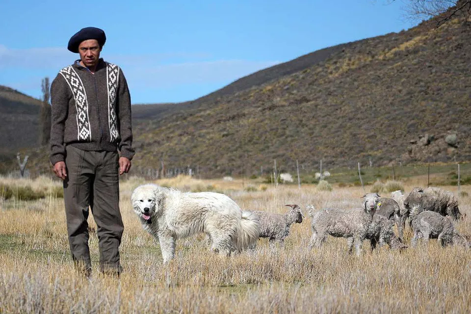 Imagen-de-WhatsApp-2025-10-13-a-las-11.32.13_ea5e71dc