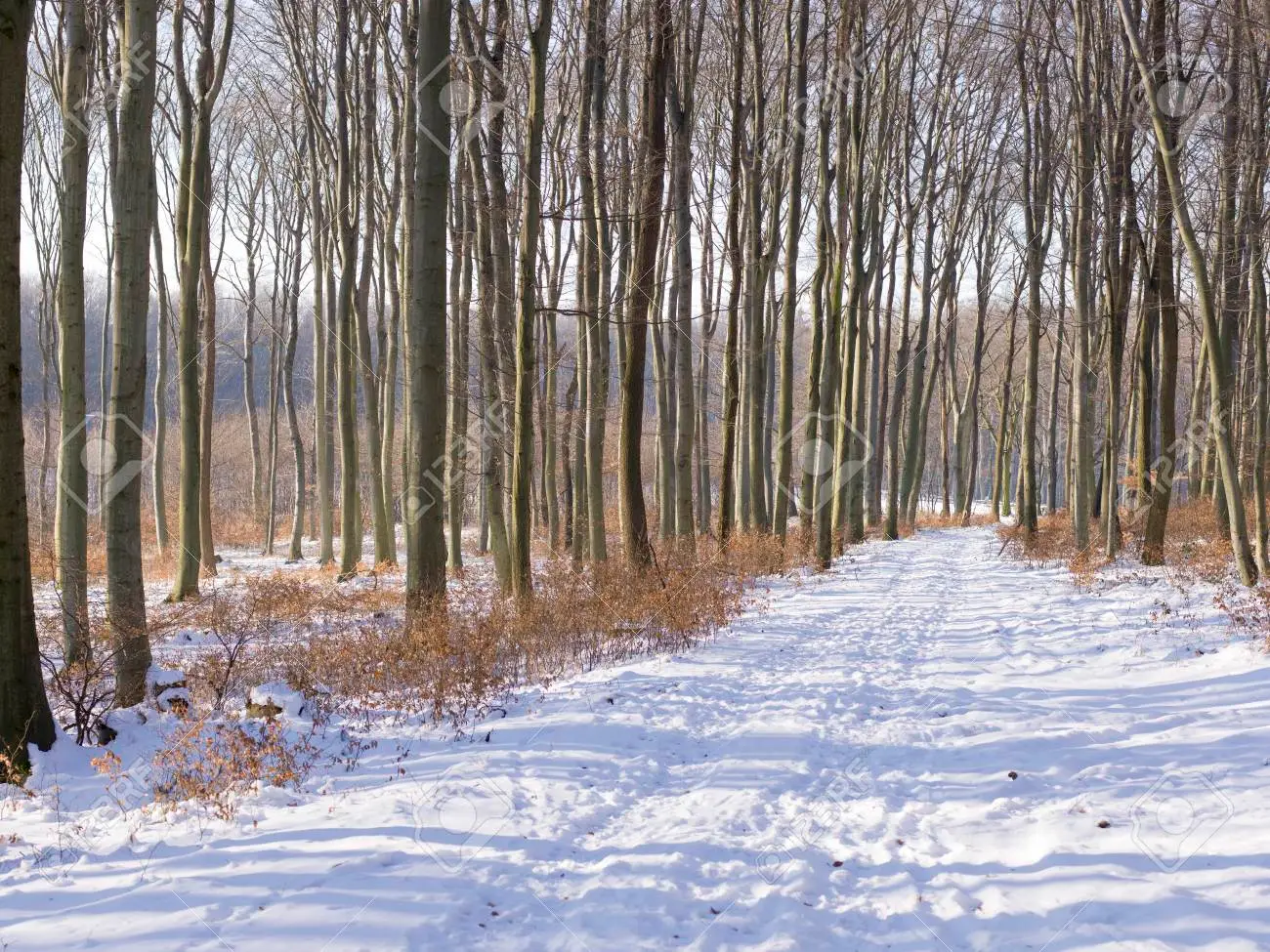 Invierno