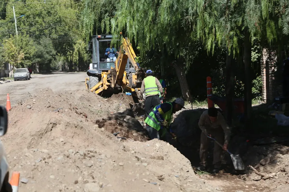 WhatsApp Image 2024-03-12 at 08.51.54