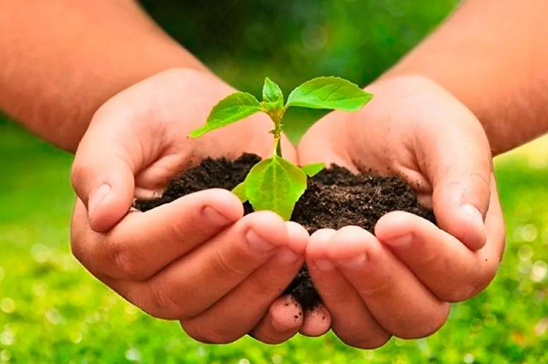 agroecolgia_732_1296