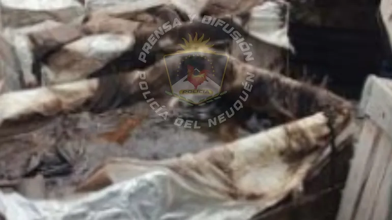 contaminacion-centenariojpg