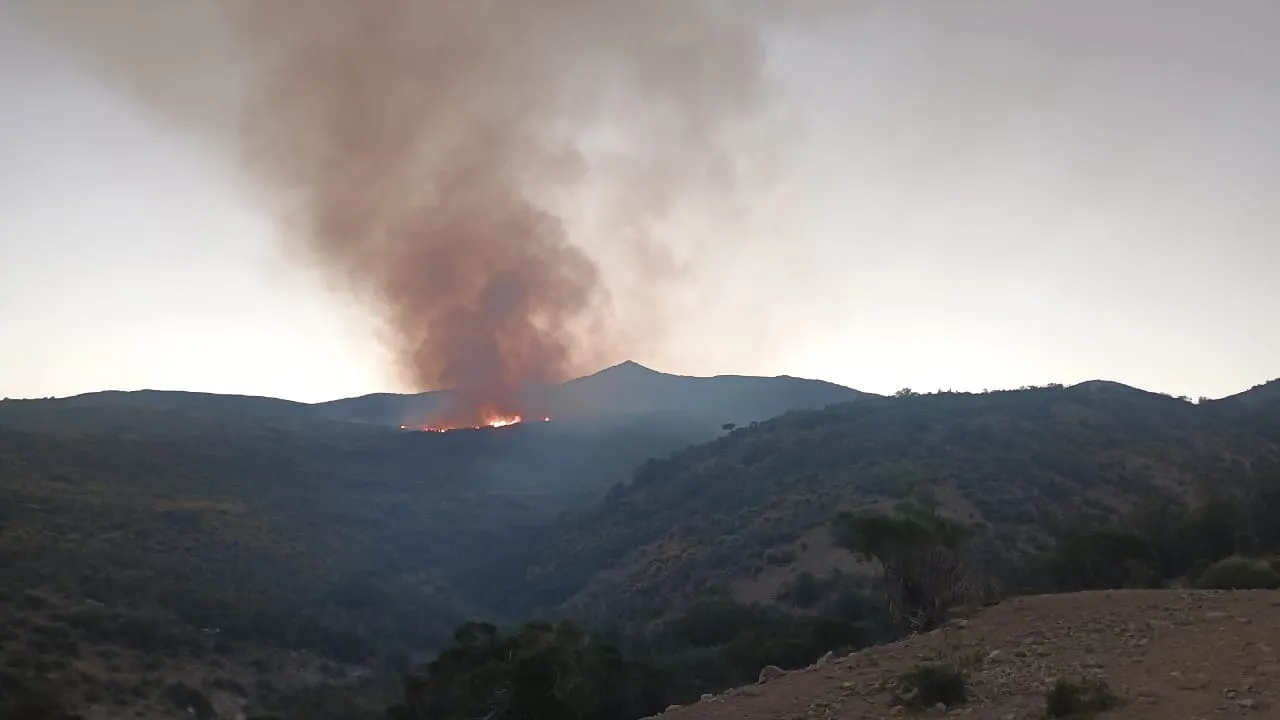 WhatsApp Image 2025-12-03 at 11.12.33