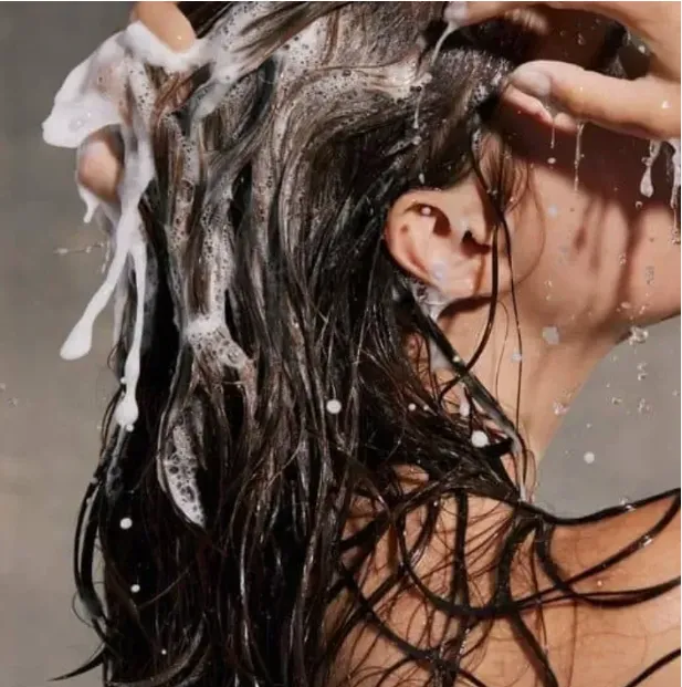 Opera Instantánea_2024-08-22_114835_www.google.com