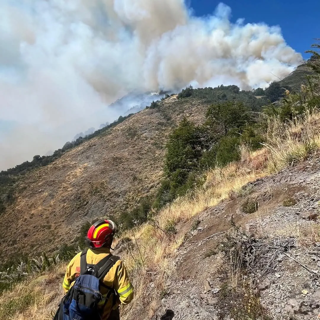 4c3467c8-a5c8-43be-9647-7962acf88121