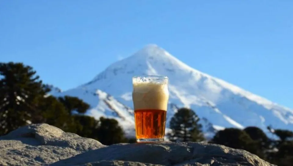 Biergarten-Patagonia-fiesta-cerveza-artesanal-1-nqn-medium-size