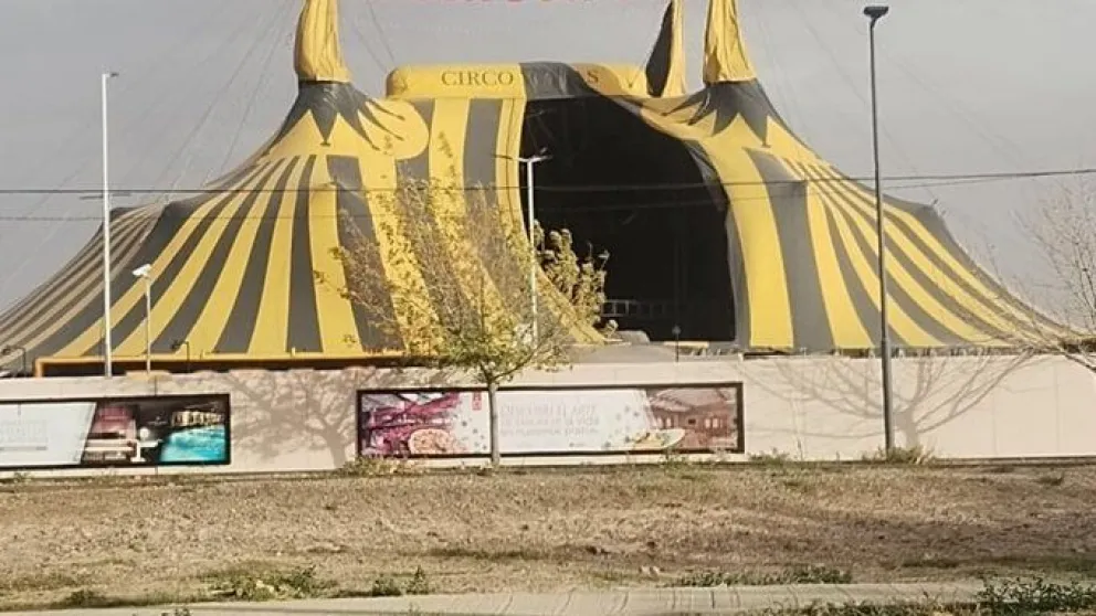 Circo