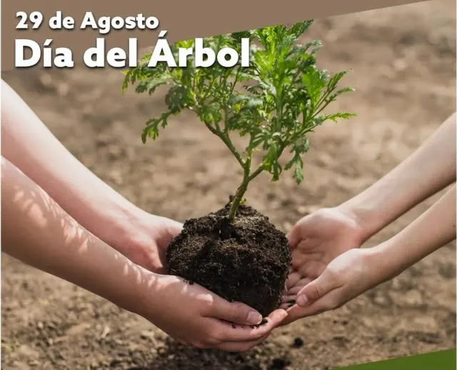 540700875_1079678354308669_5809703457824378490_n