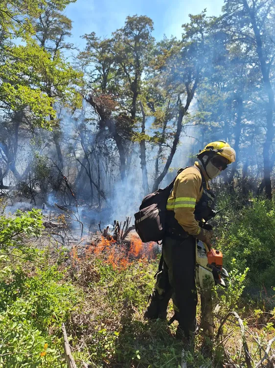 480913864_932840535695096_723668987818500145_n