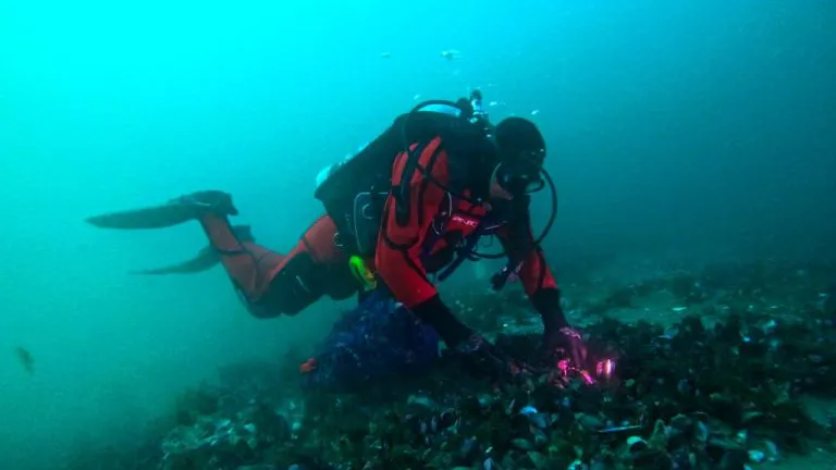 7ead7075-c12c-4d17-89b4-bfd7f2ed4b70-768x432