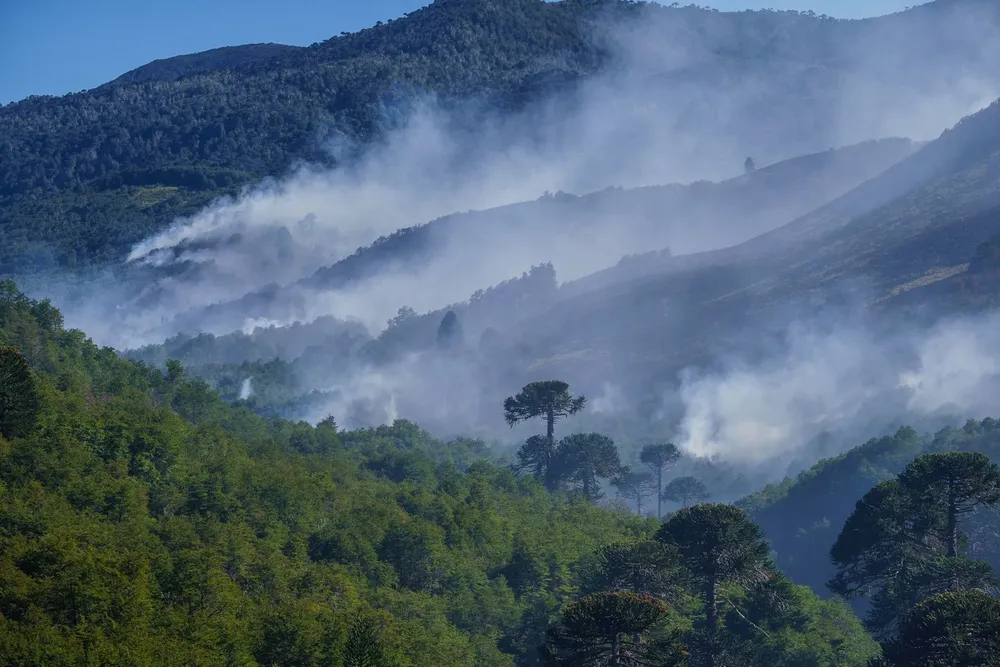 WhatsApp Image 2025-02-06 at 15.57.54