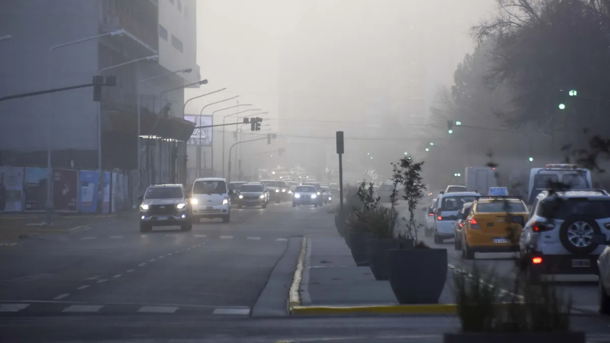 am-niebla-11jpg