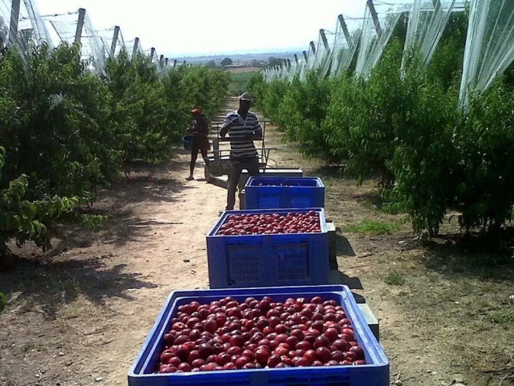 Economias regionales