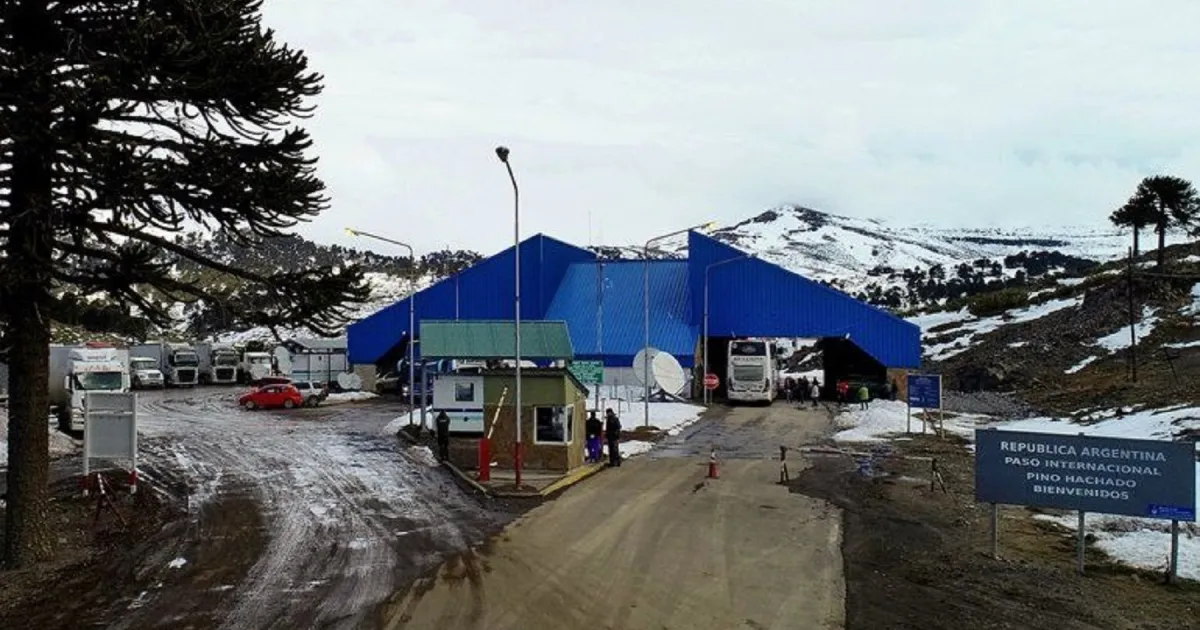 pino-hachado-nevado