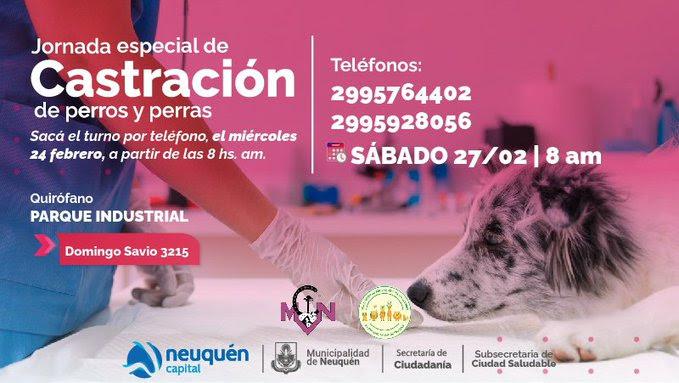 Castración animal