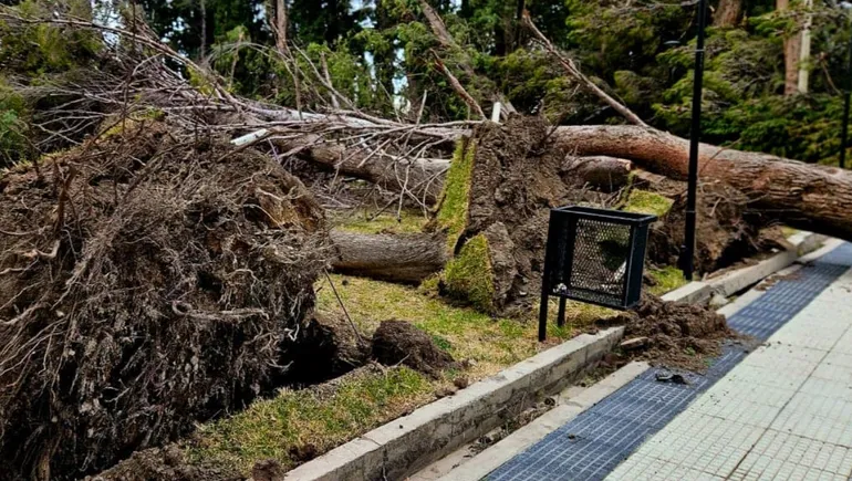 temporal-viento-chos-malal