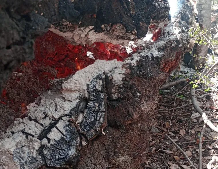 576927207_1131344529178028_2296474180913130065_n