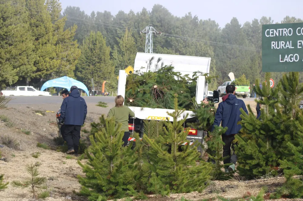 raleotodos2