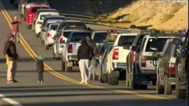 f768x1-789576_789703_5050