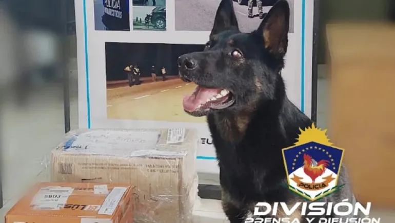 bettina-perra-antinarcoticosjpg