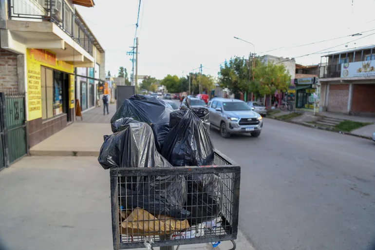 on-plottier-basura-6jpg