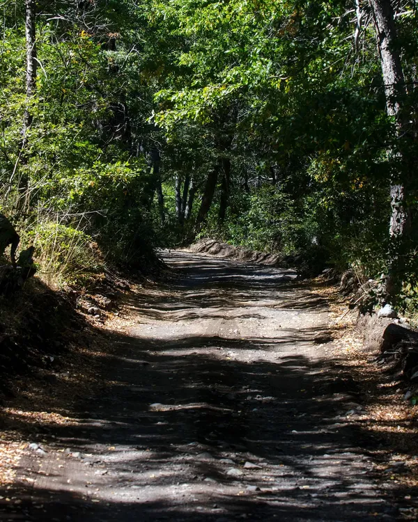 461323251_943101154520053_3486696322195441662_n