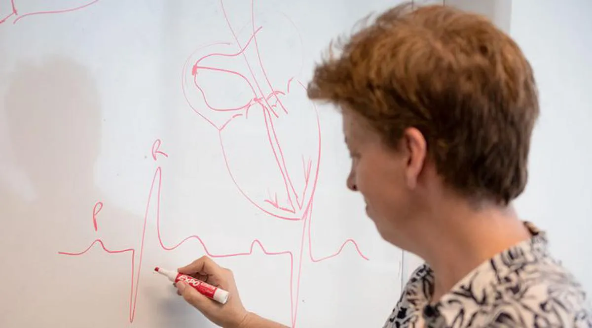 17e90b5e-f21d-4d13-b6f0-7af0896deff1