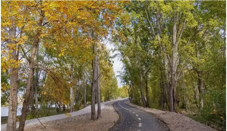 Opera Instantánea_2024-04-18_090444_neuquennews.com.ar