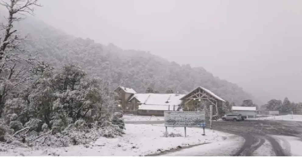 md - 2024-11-04T111524.097