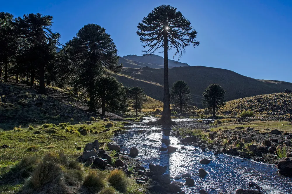 376406617_702160978614073_1066201039184335536_n