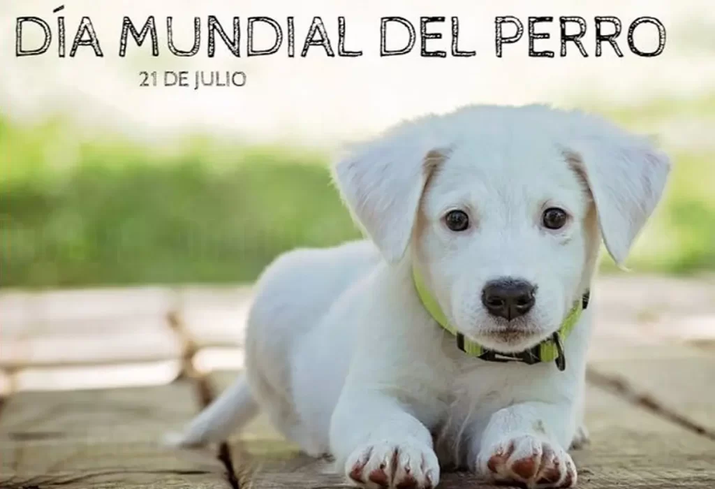 dia_mundial_perro-1024x700