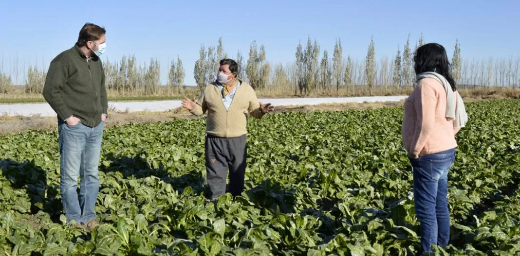 WEB-acciones-conjuntas-con-Añelo-y-Los-Chihuidos-47-1068x527