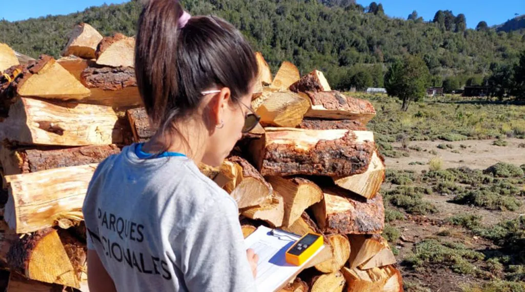 web-Villa-Pehuenia-Moquehue-dejara-de-usar-lena-nativa-para-calefaccion-007_n-1024x569