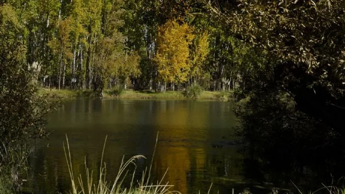 f685x385-795265_832958_5050