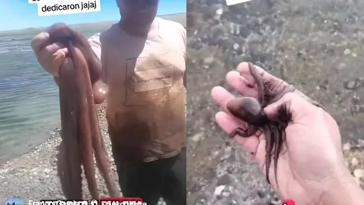 720 - 2025-12-01T132749.711