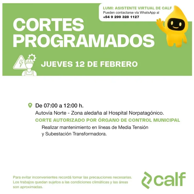 WhatsApp-Image-2026-02-11-at-09.12.35