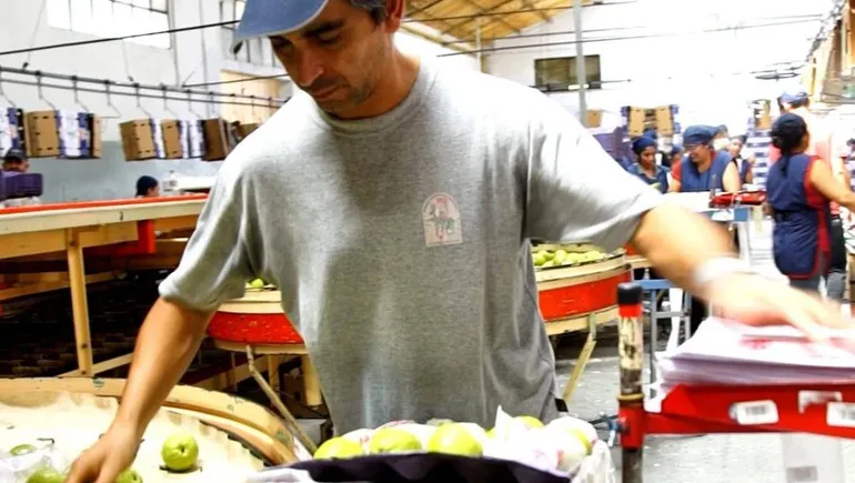 cooperativa-la-primera-empaquejpg