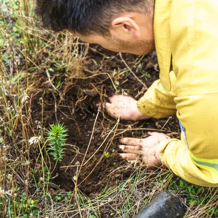 494286514_985000737145742_9107458476738151455_n