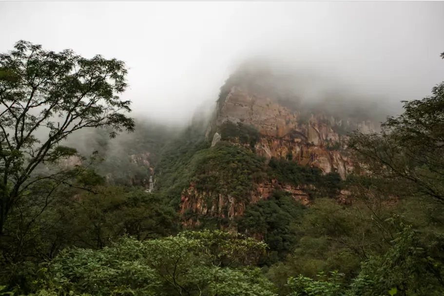 Opera Captura de pantalla_2025-09-03_091048_www.lanacion.com.ar