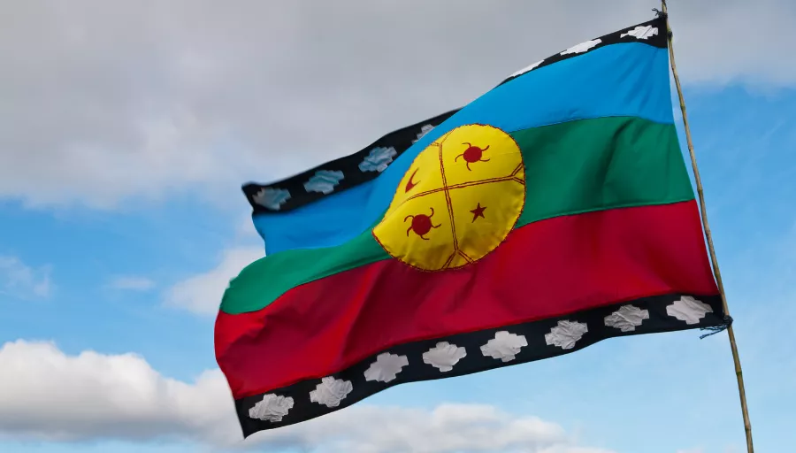 bandera mapuche