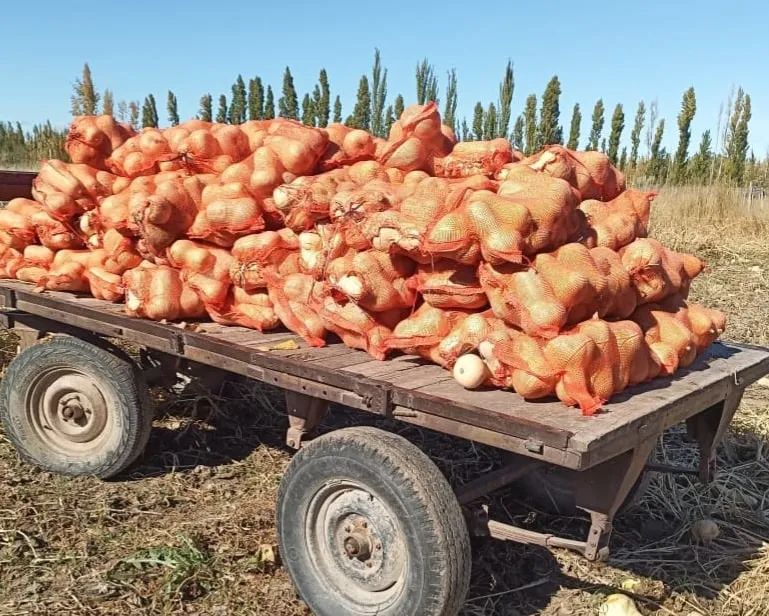 491831659_1168900165026057_1648326926359059075_n