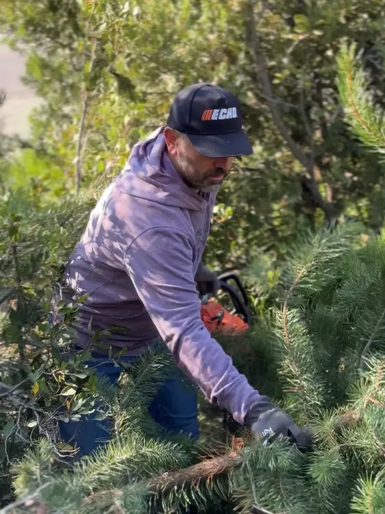 WhatsApp Image 2026-01-17 at 13.30.44