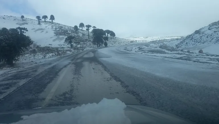 nevadas-cierre-del-paso-internacional-pino-hachadojpg
