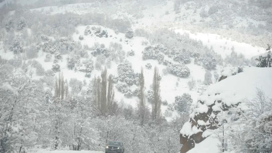 asm.temporal-de-nieve-y-viento.P.R.2022-18