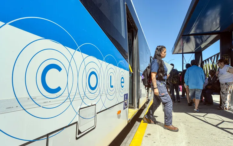 colectivo-cole-01jpg