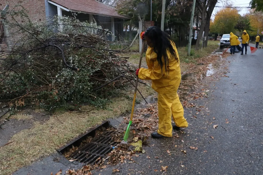 WhatsApp Image 2024-05-20 at 11.26.32